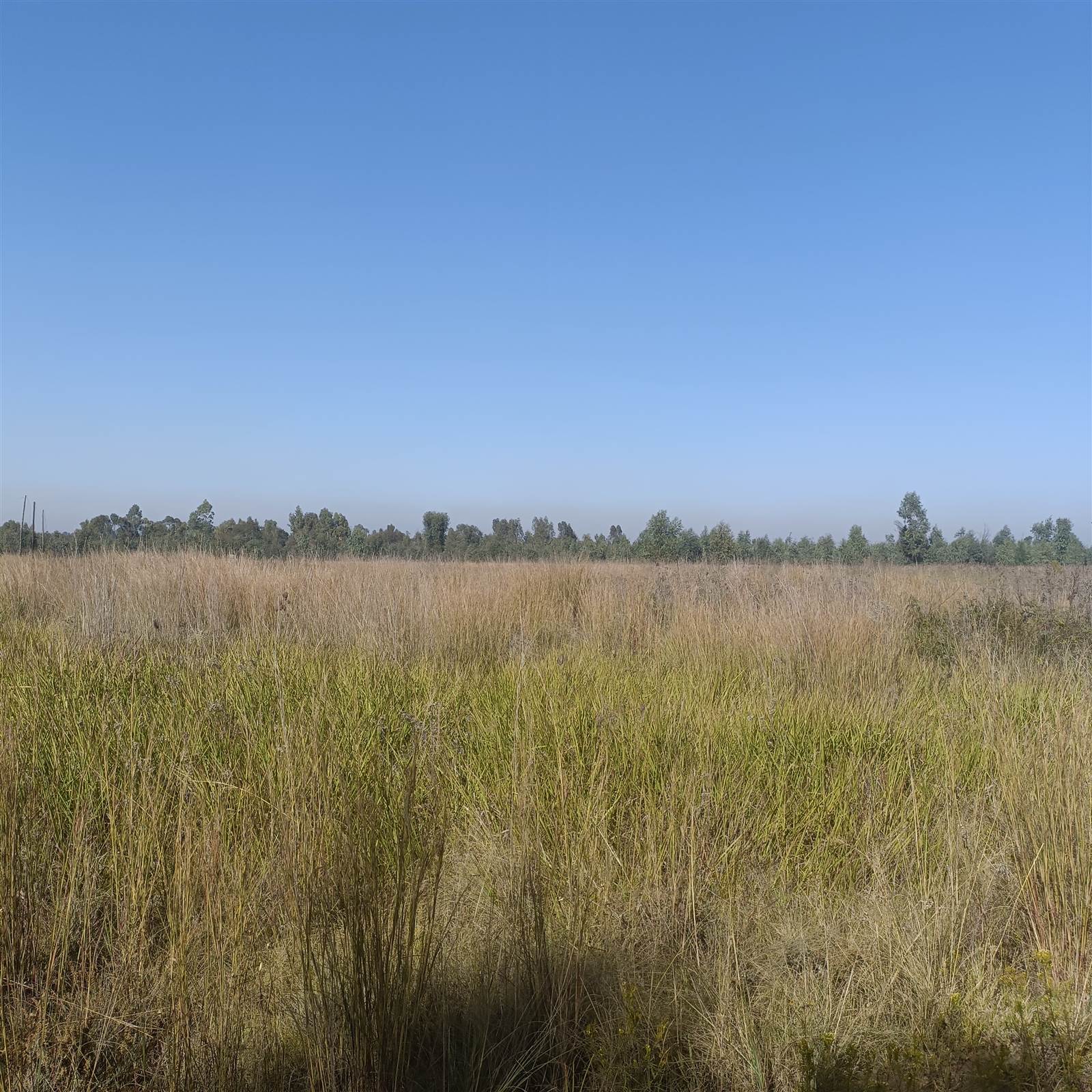 8.7 ha Land available in Cullinan and Surrounds photo number 1