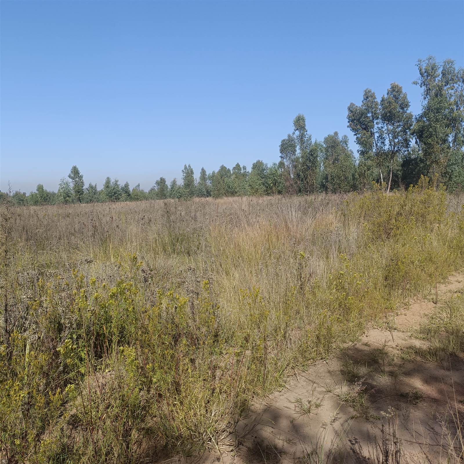 8.7 ha Land available in Cullinan and Surrounds photo number 11