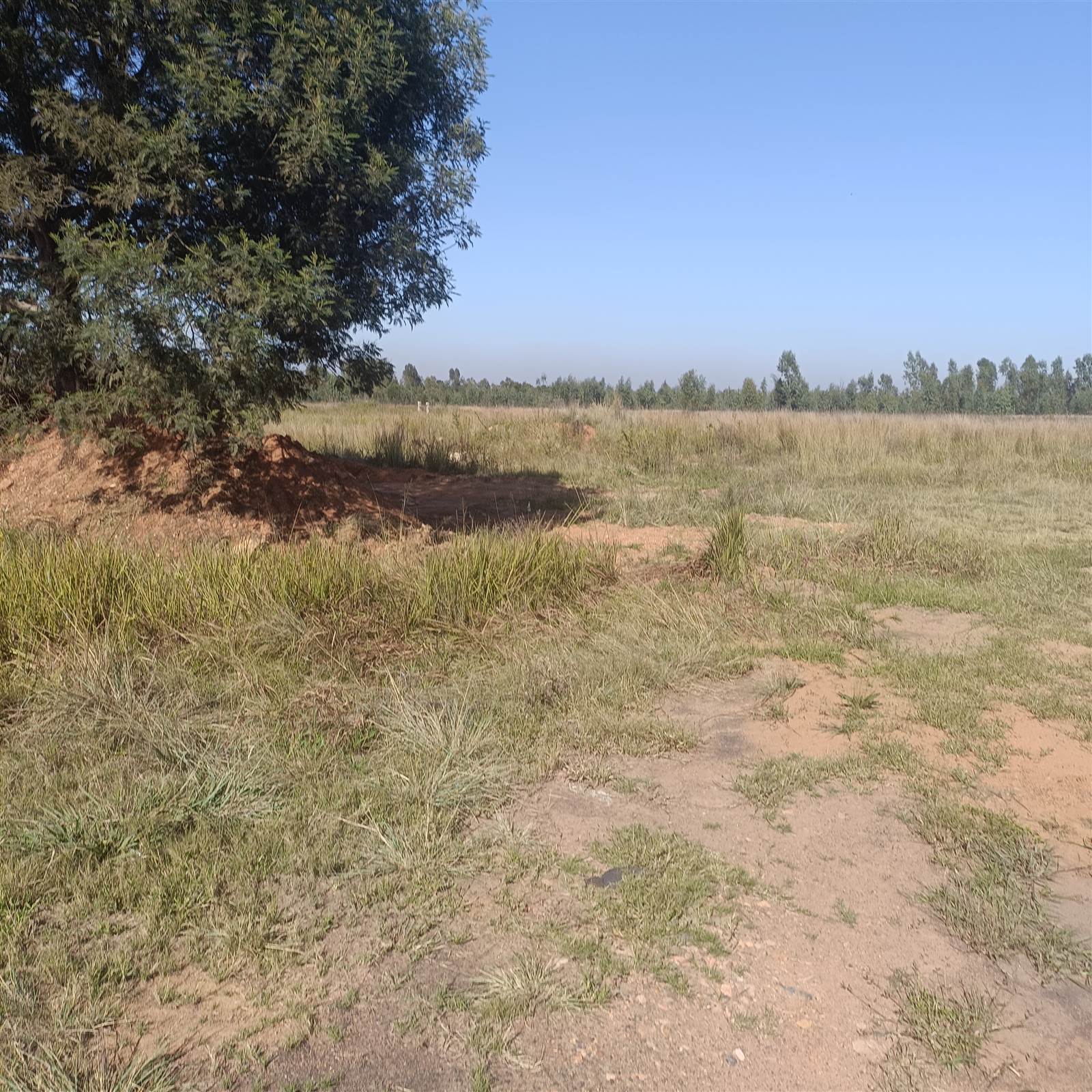 8.7 ha Land available in Cullinan and Surrounds photo number 8
