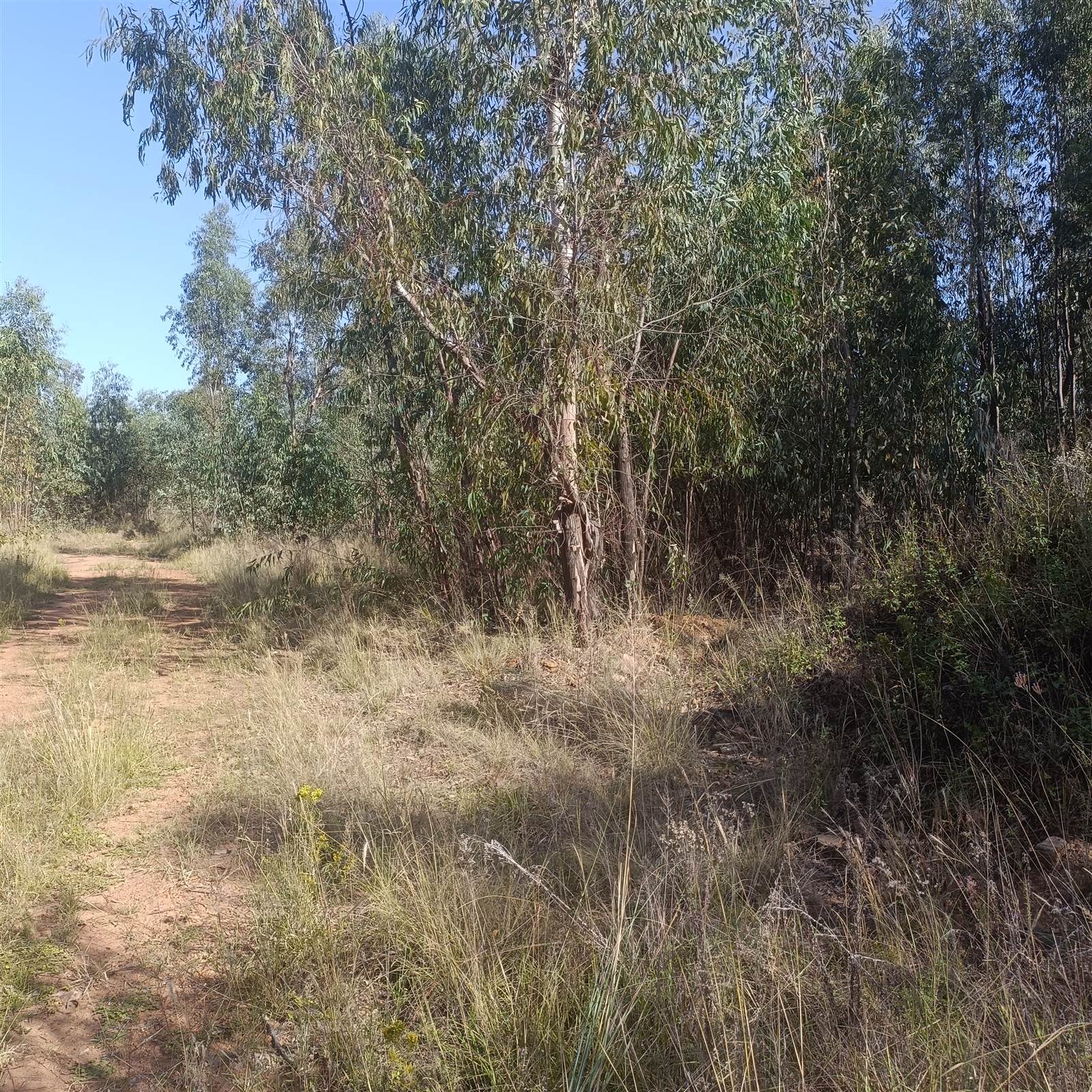 8.7 ha Land available in Cullinan and Surrounds photo number 17