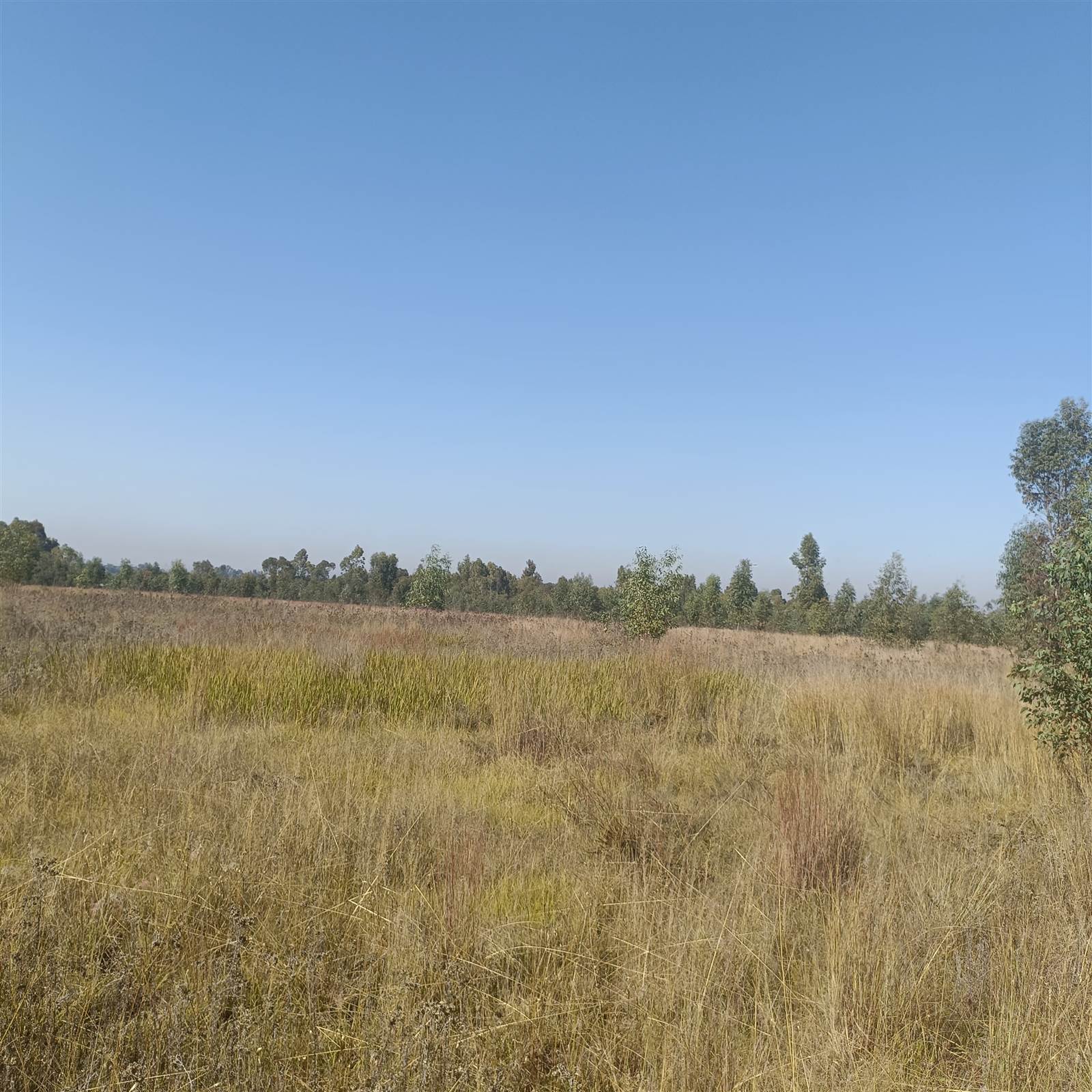 8.7 ha Land available in Cullinan and Surrounds photo number 15
