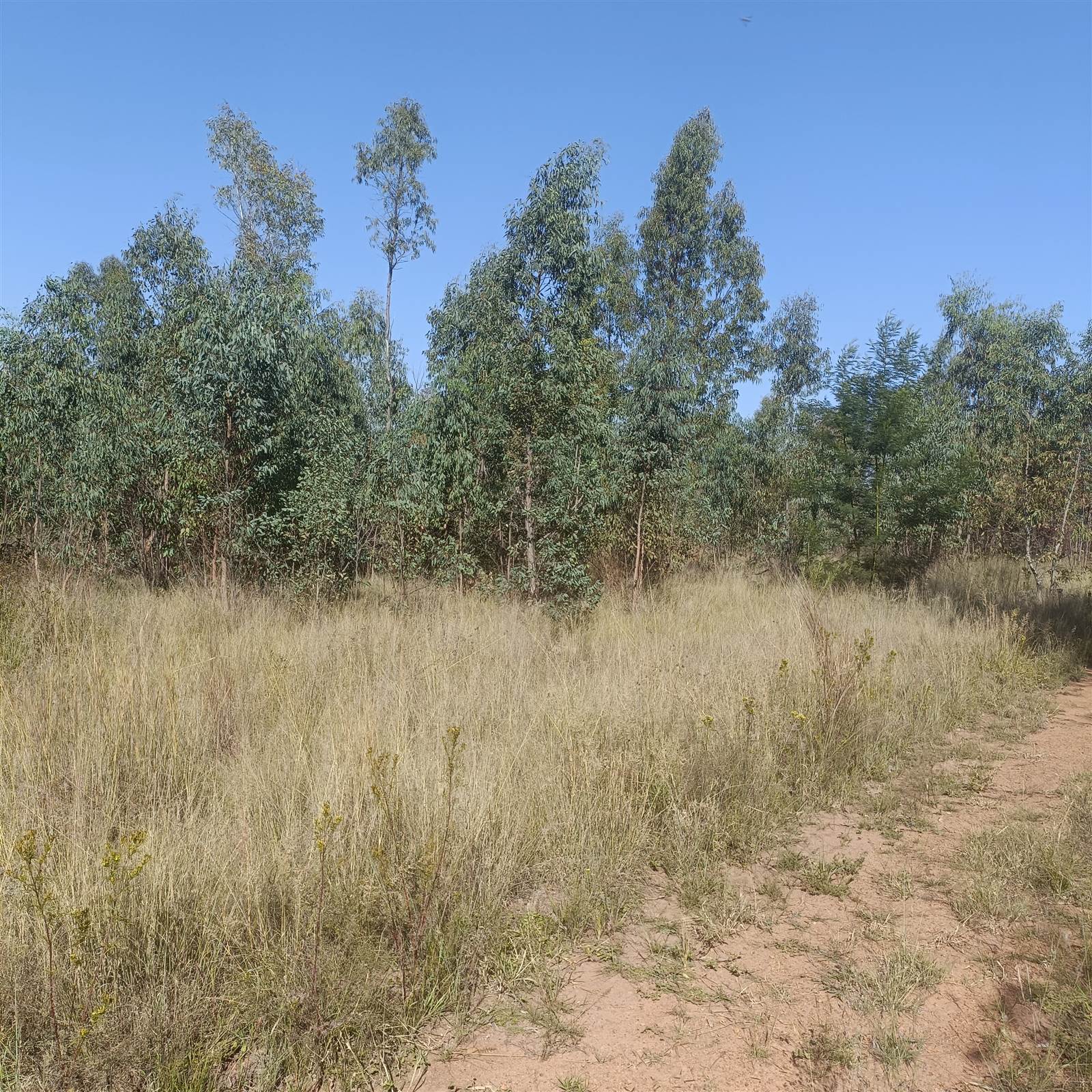 8.7 ha Land available in Cullinan and Surrounds photo number 16