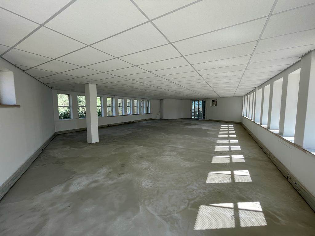 150  m² Commercial space in Parktown North photo number 17