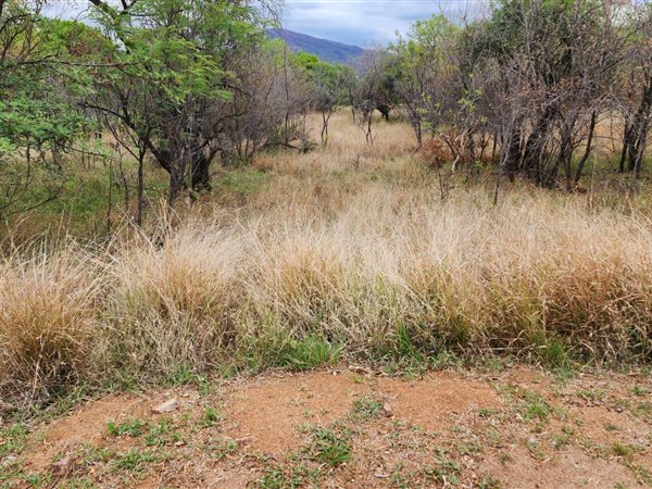 1199 m² Land available in Seasons Lifestyle Estate