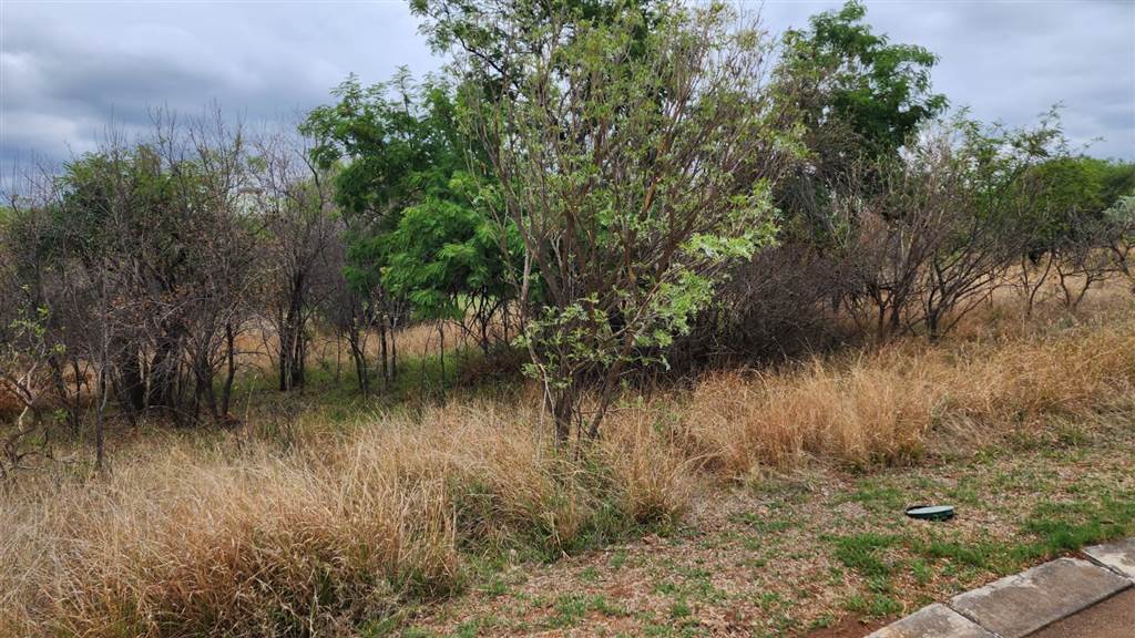 1199 m² Land available in Seasons Lifestyle Estate photo number 7