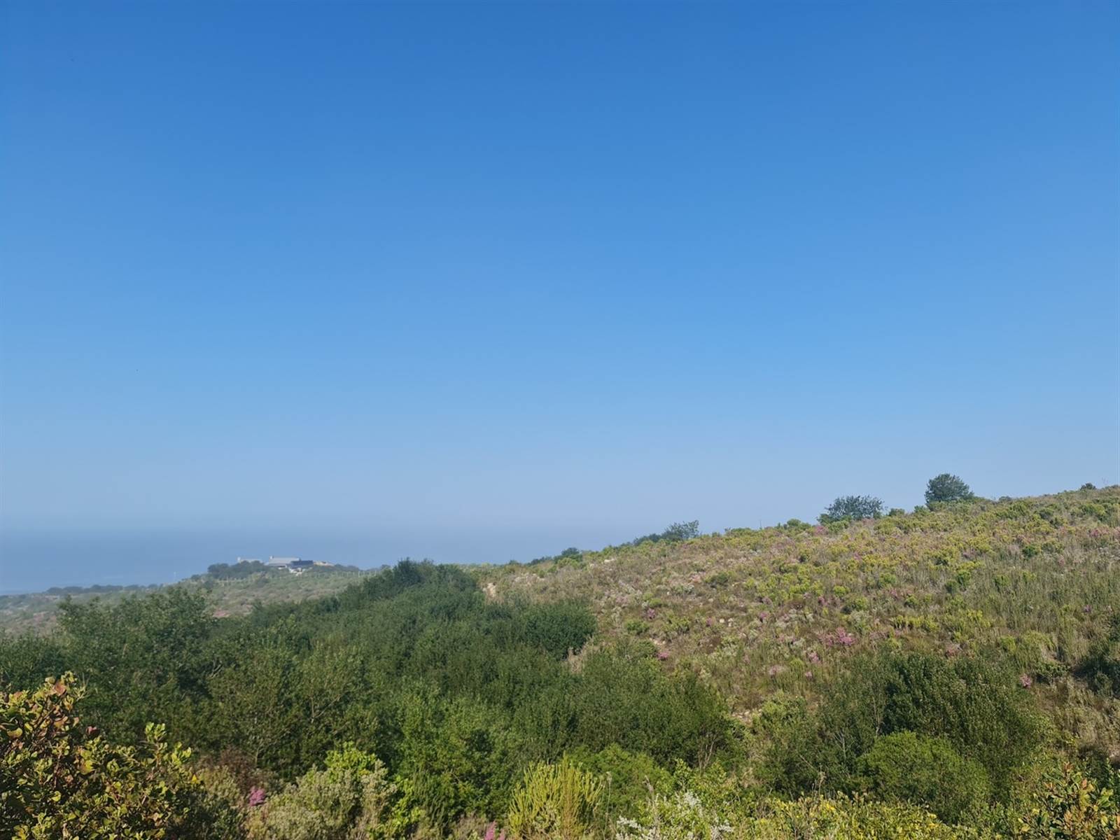 4400 m² Land available in Pezula Private Estate photo number 2