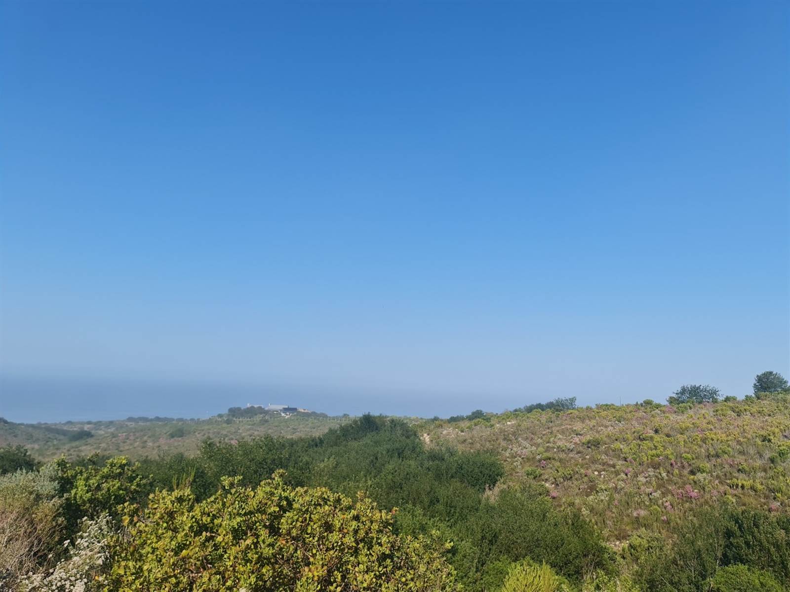 4400 m² Land available in Pezula Private Estate photo number 6
