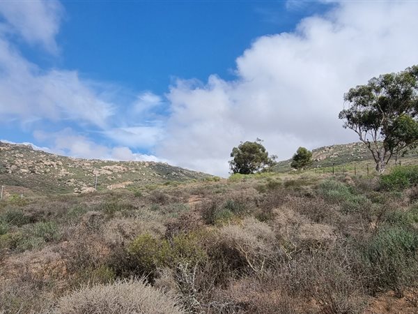660 m² Land available in St Helena Views