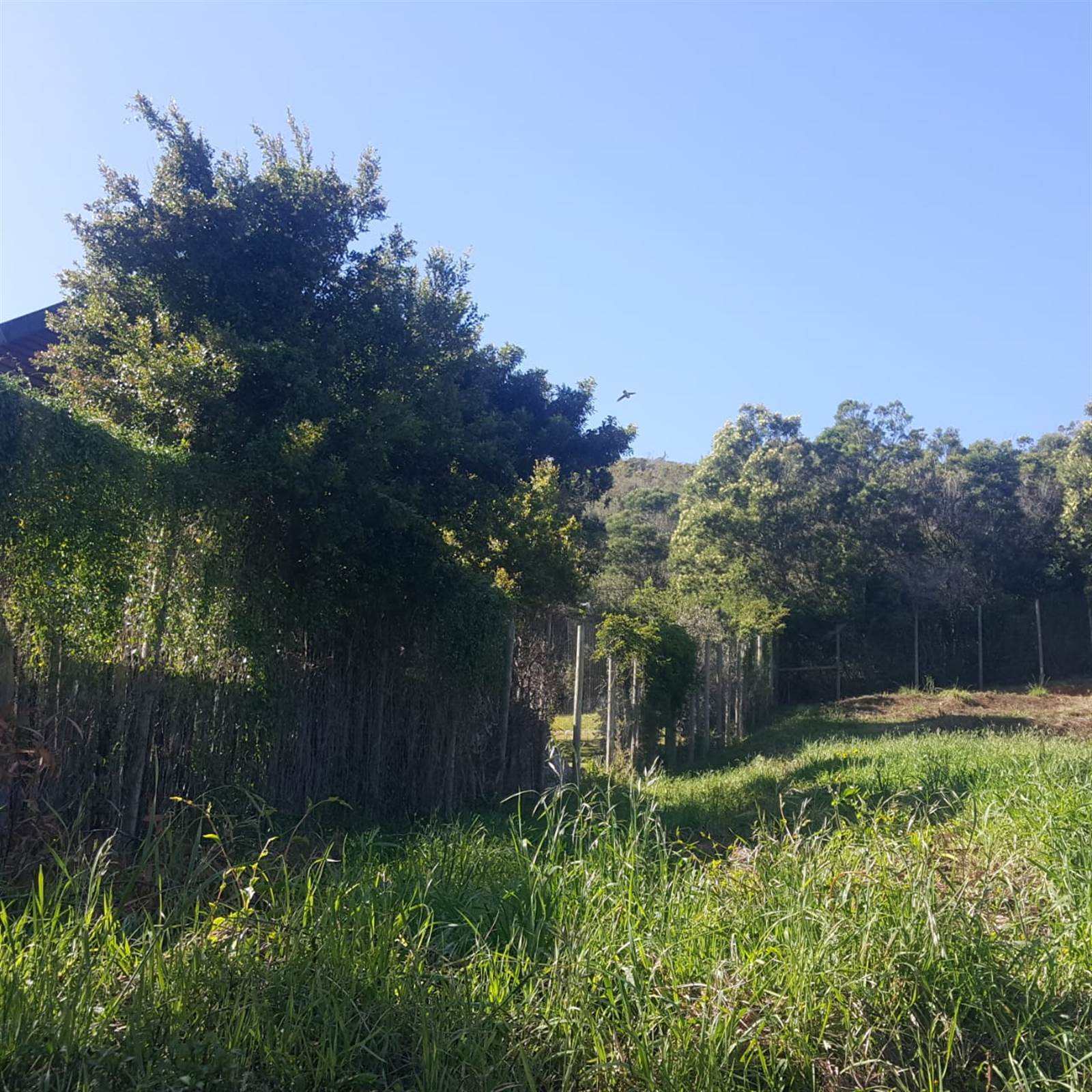 983 m² Land available in Plettenberg Bay Rural photo number 1