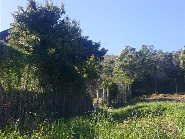 983 m² Land available in Plettenberg Bay Rural