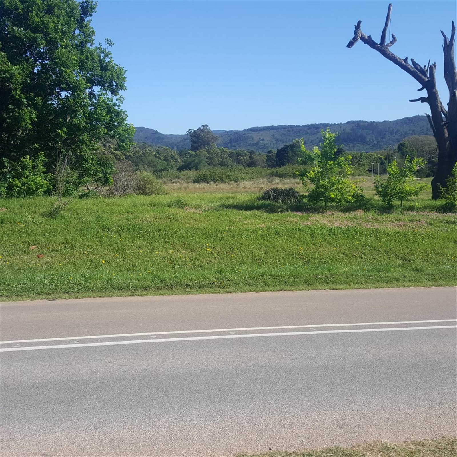 983 m² Land available in Plettenberg Bay Rural photo number 10
