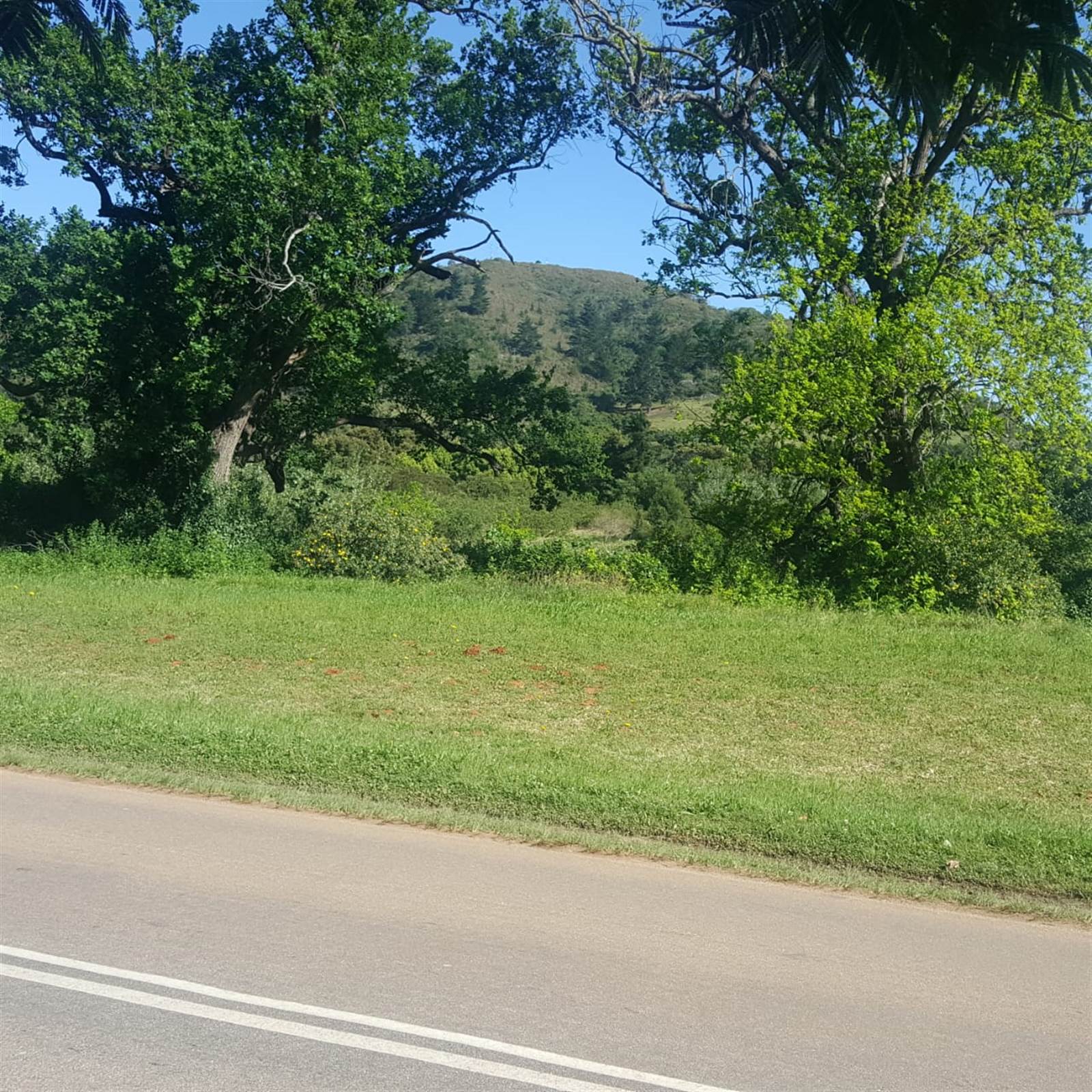 983 m² Land available in Plettenberg Bay Rural photo number 2
