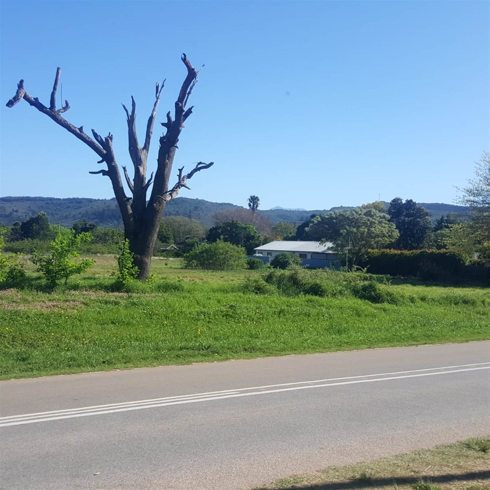 983 m² Land available in Plettenberg Bay Rural photo number 6