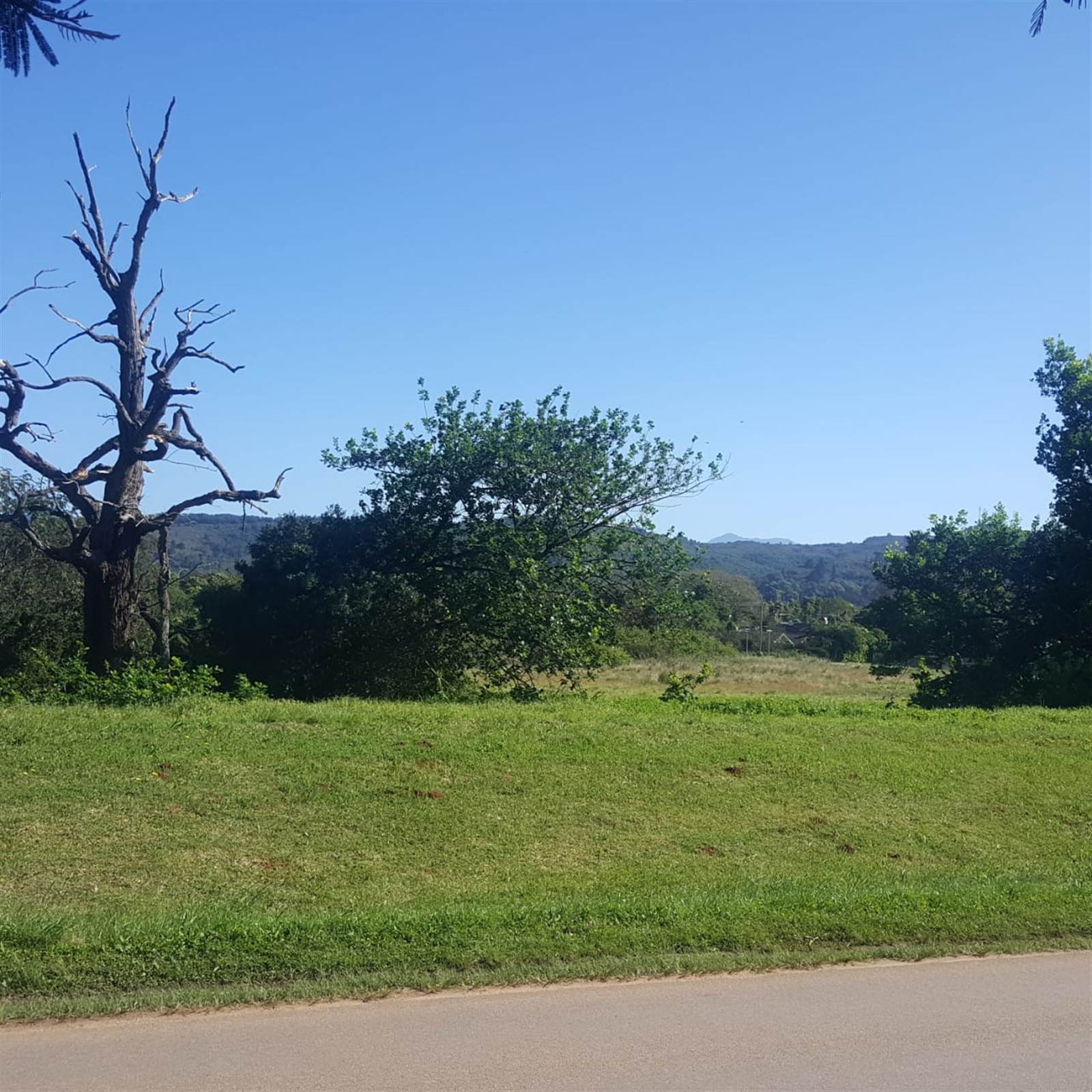 983 m² Land available in Plettenberg Bay Rural photo number 5