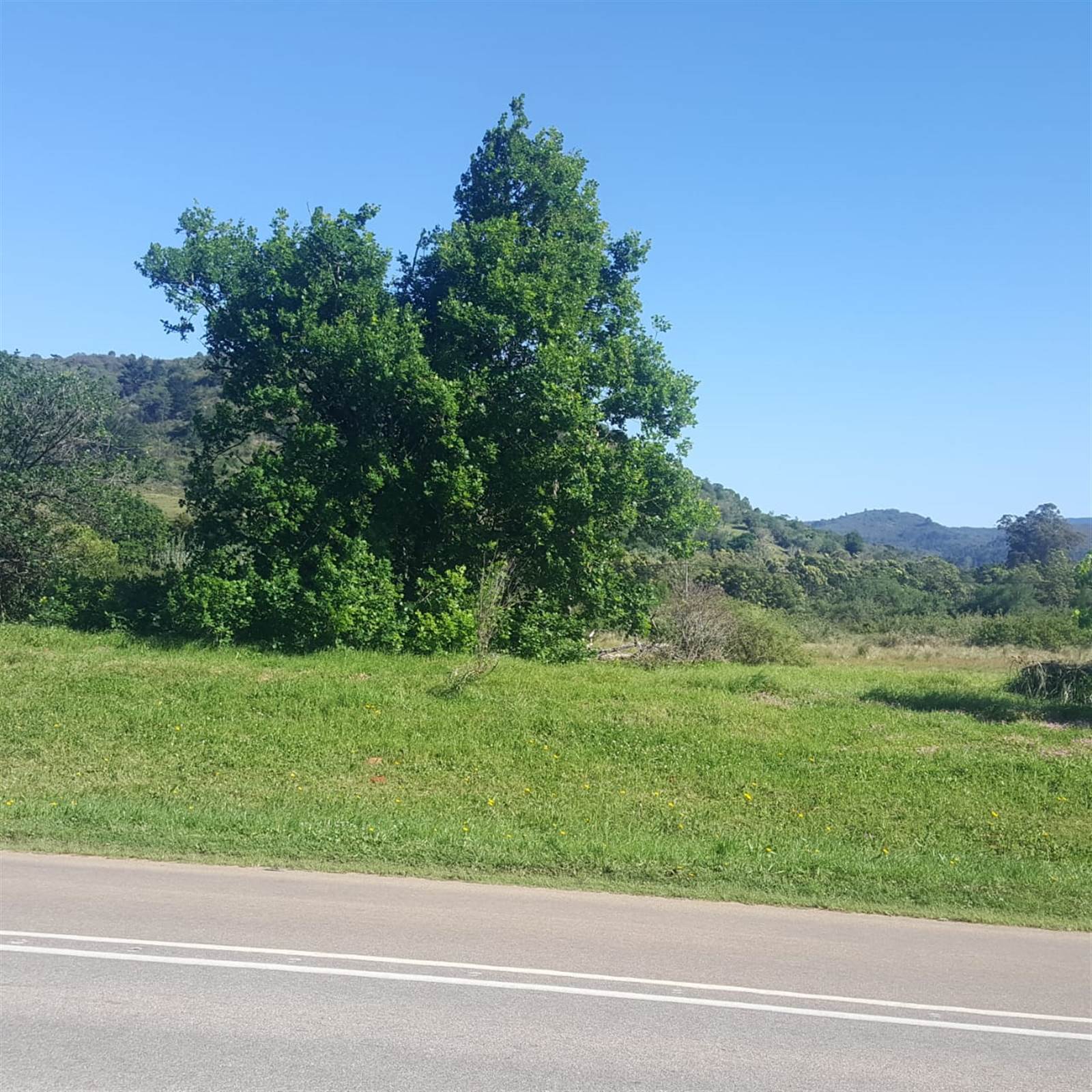 983 m² Land available in Plettenberg Bay Rural photo number 7