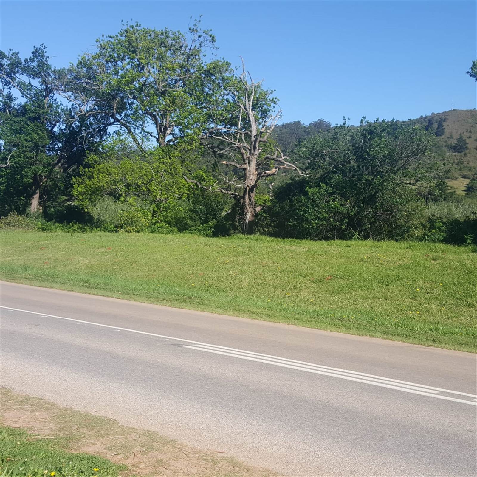983 m² Land available in Plettenberg Bay Rural photo number 8
