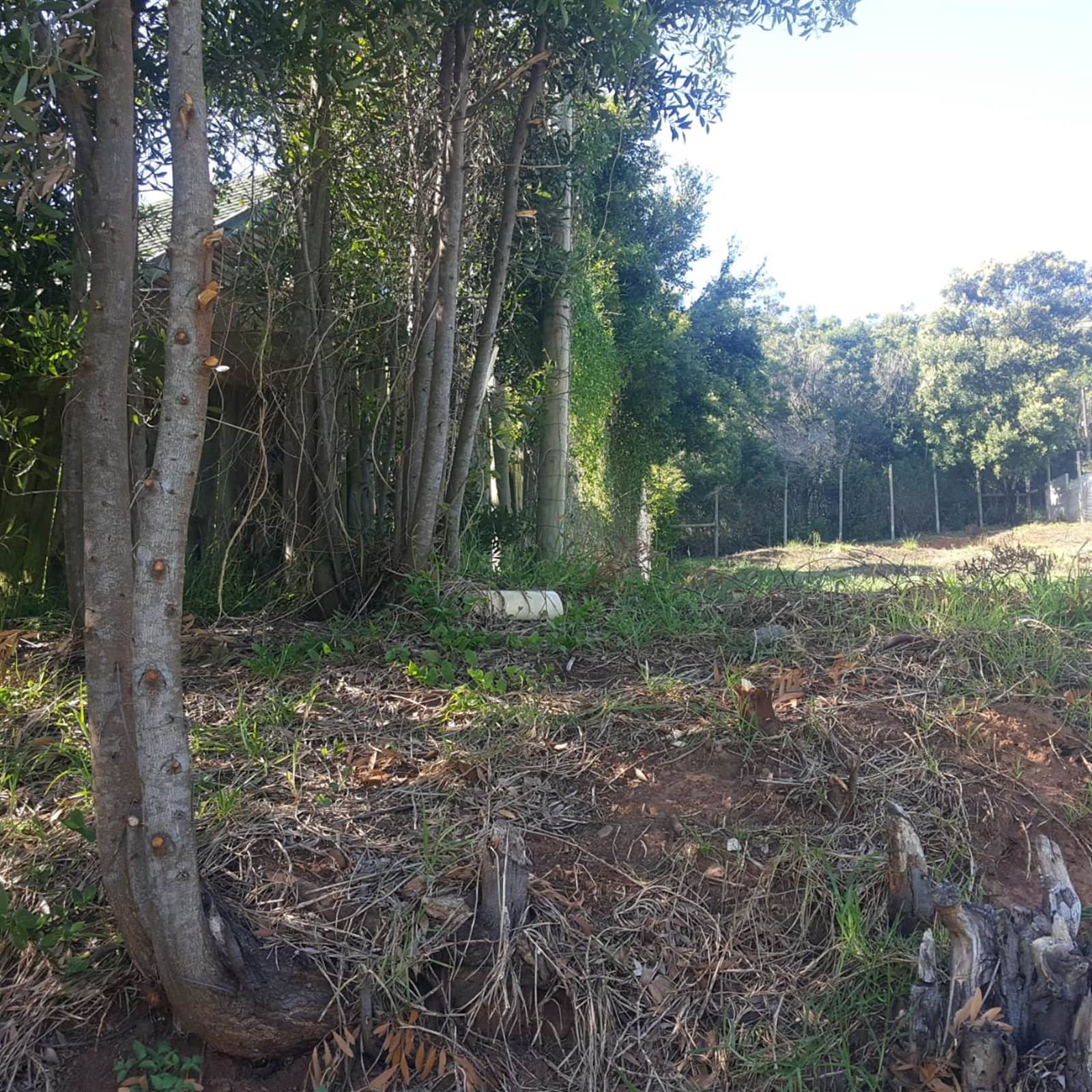 983 m² Land available in Plettenberg Bay Rural photo number 4