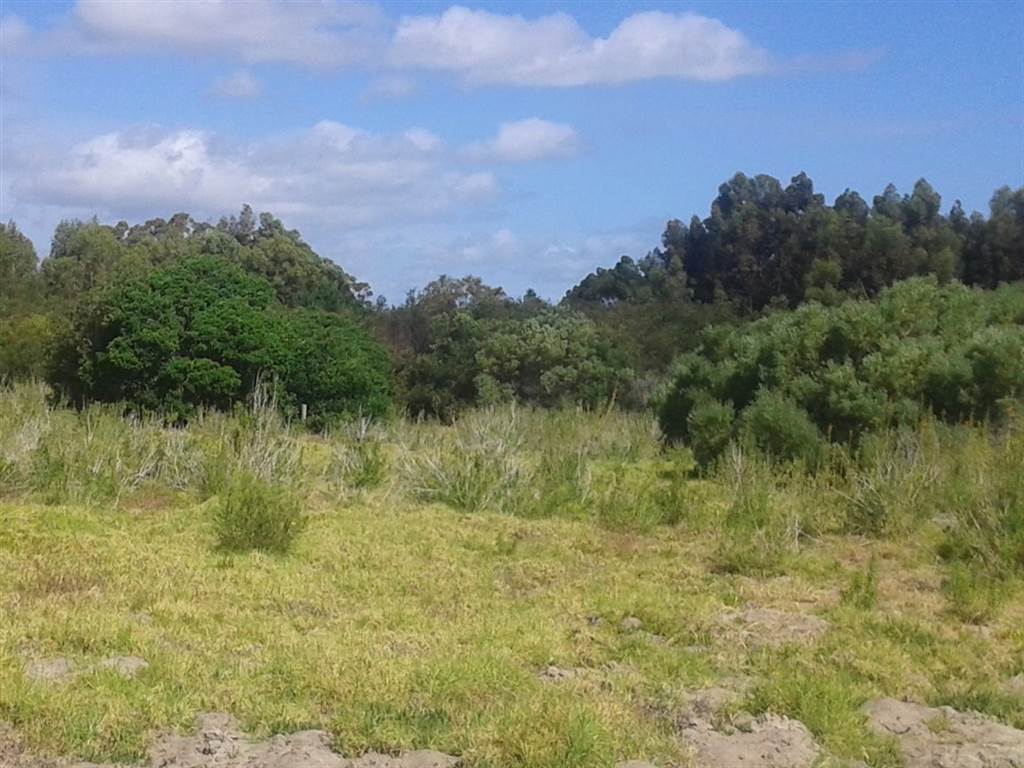 10.4 ha Land available in Franskraal photo number 8
