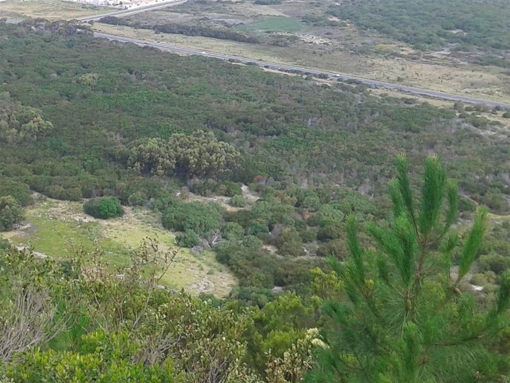 10.4 ha Land available in Franskraal photo number 10
