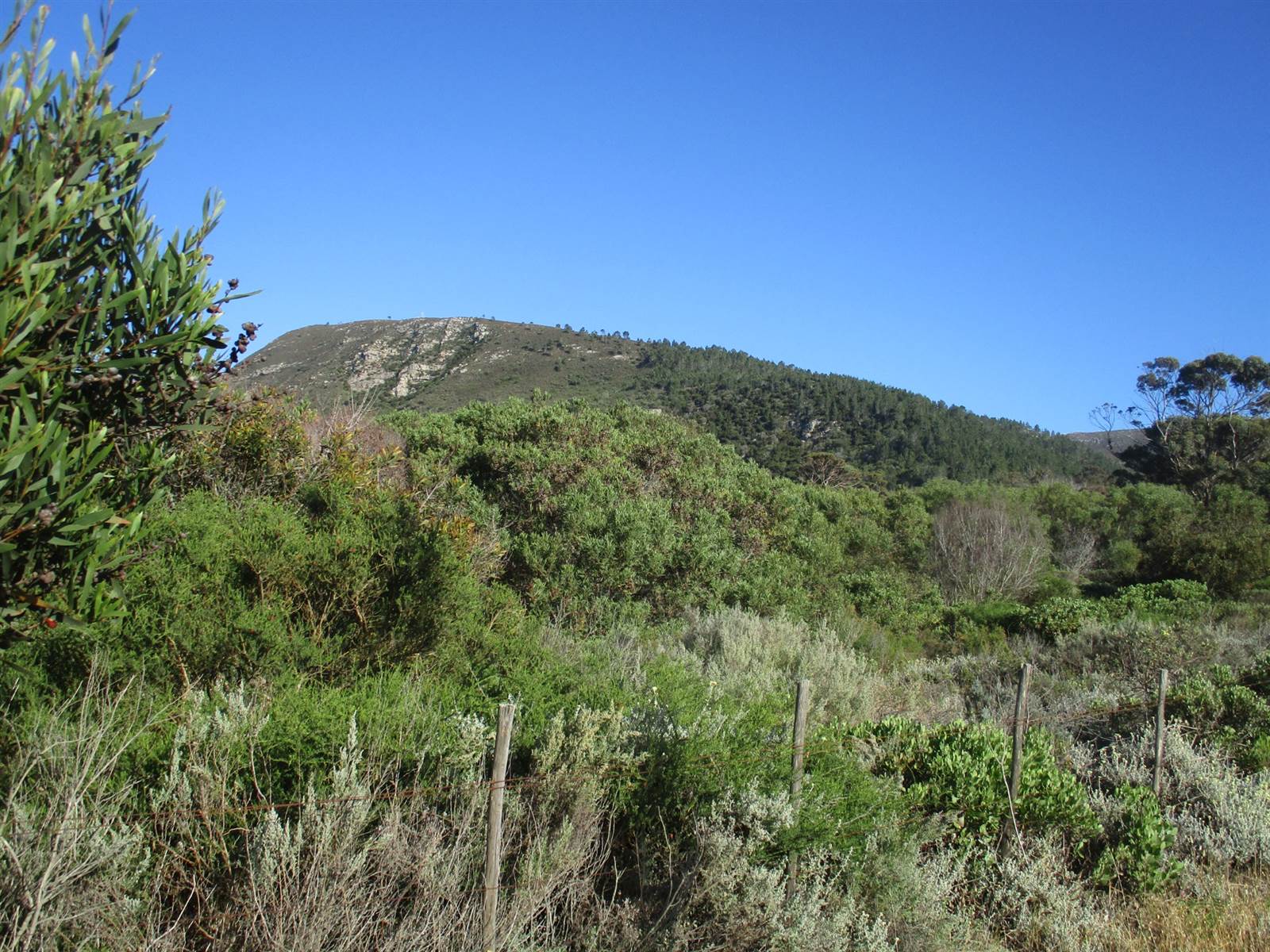 10.4 ha Land available in Franskraal photo number 4