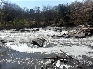 5 ha Farm in Hennops River