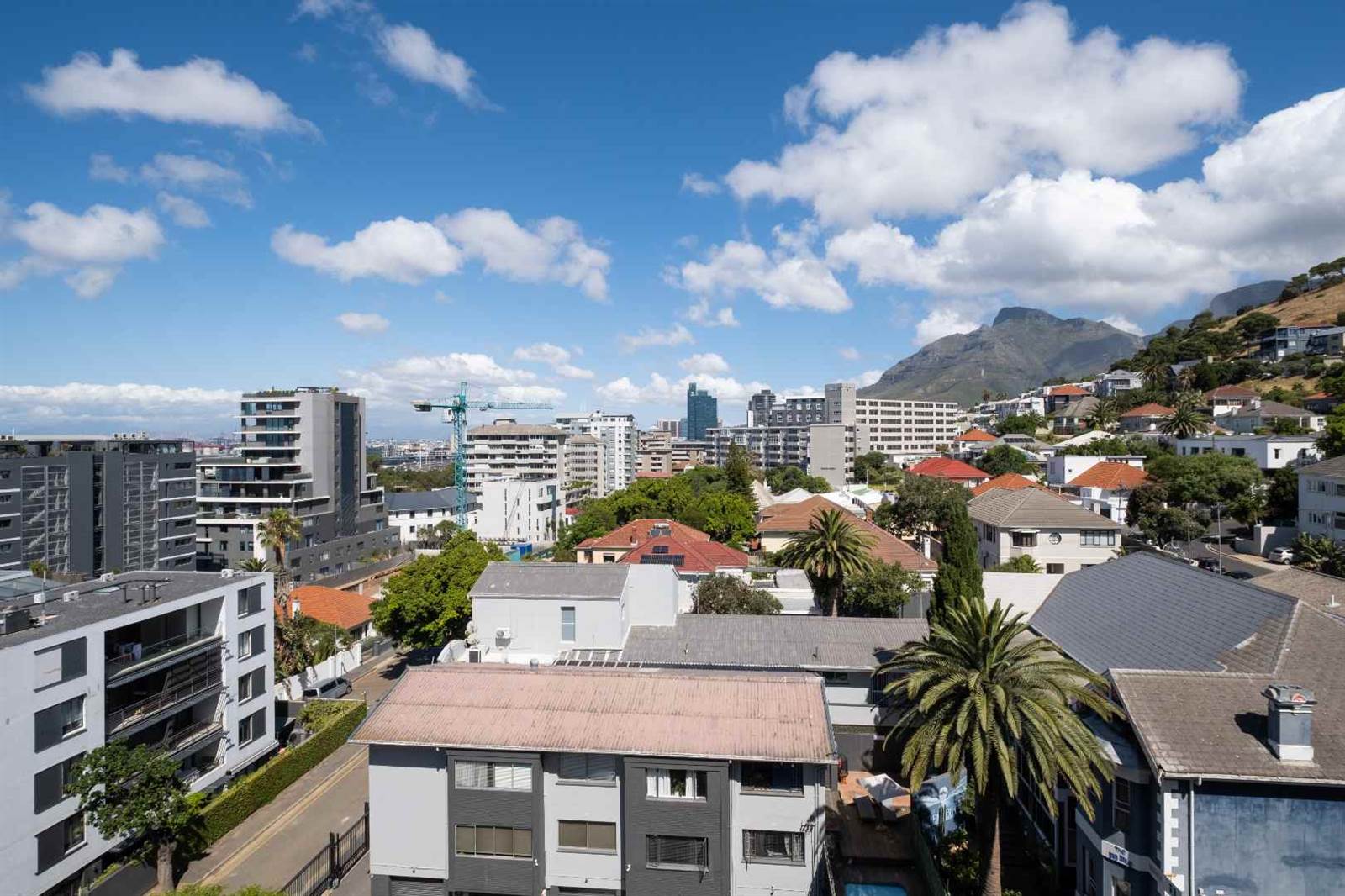 Studio Apartment in Green Point photo number 17