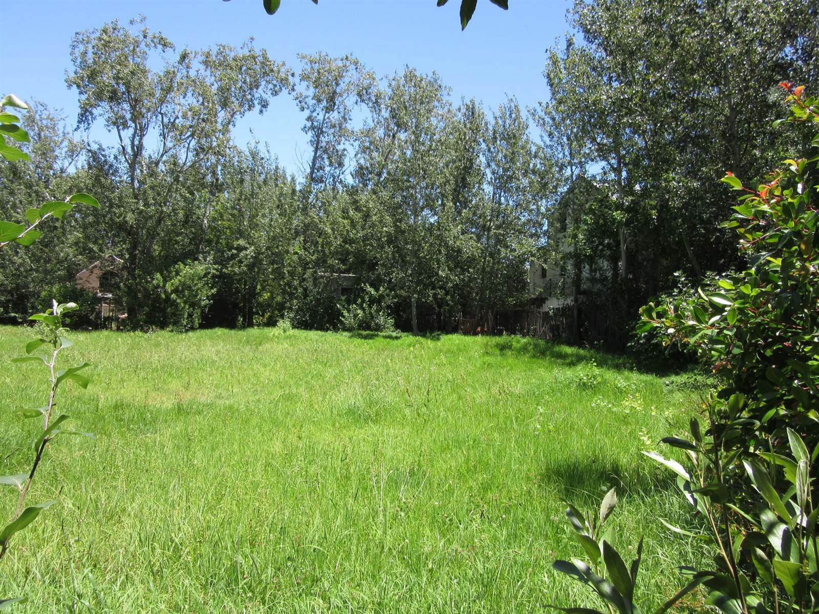 1053 m² Land available in Greyton photo number 10
