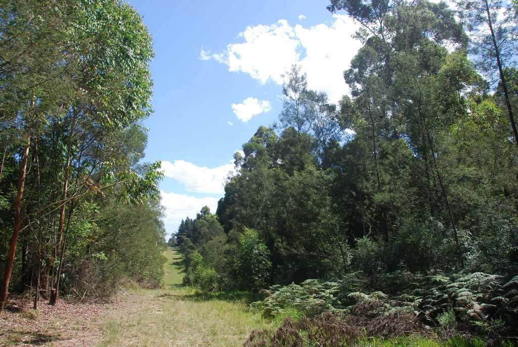 1.8 ha Land available in Heatherlands photo number 4