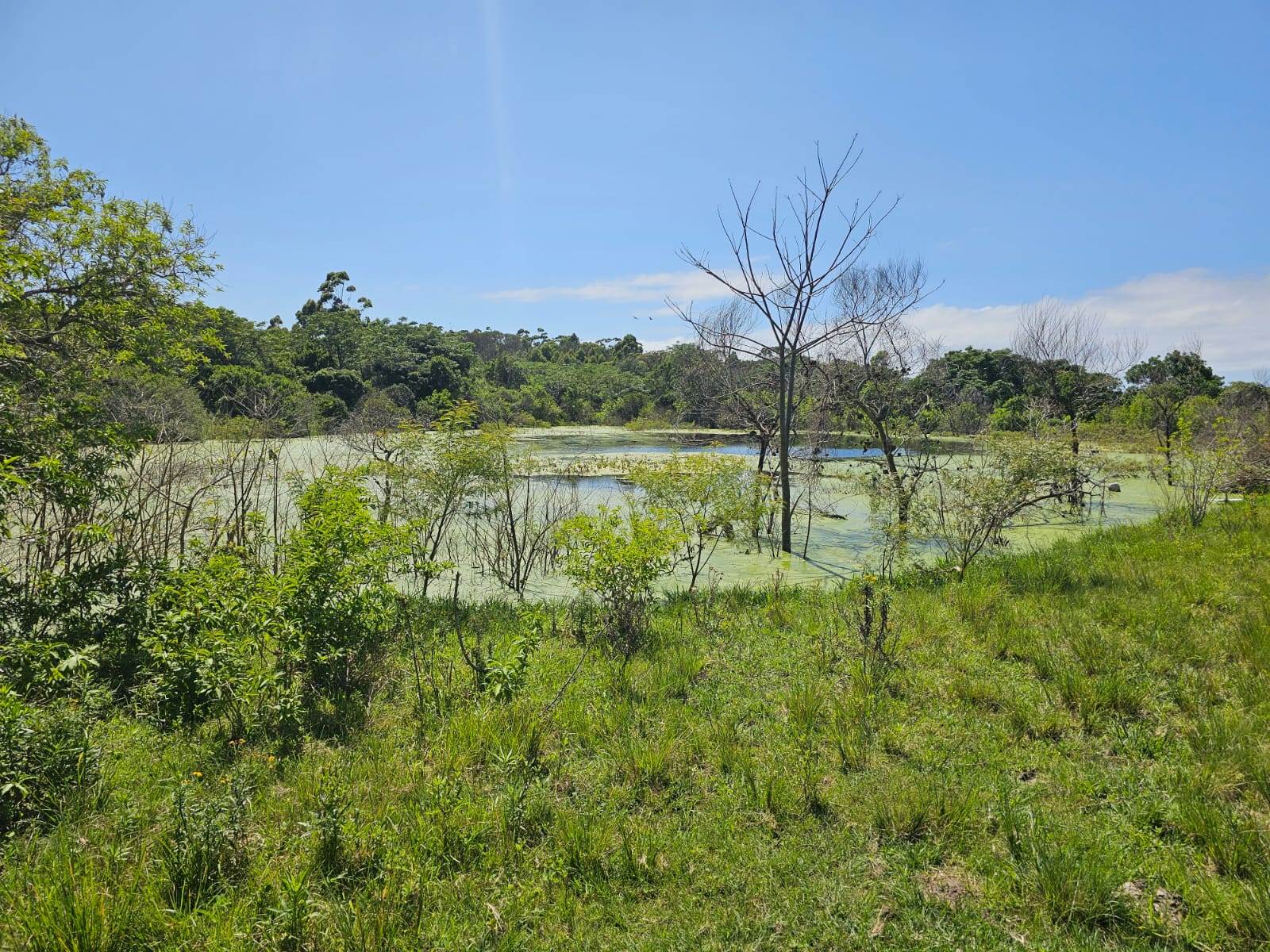 43 ha Land available in Kaysers Beach photo number 4