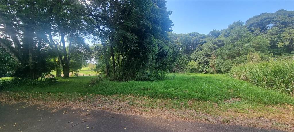 1006 m² Land available in Eshowe photo number 8
