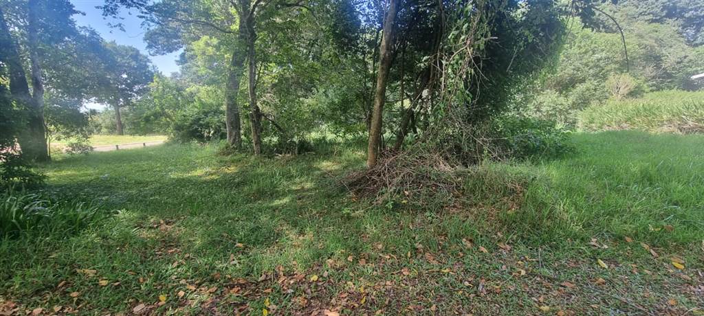 1006 m² Land available in Eshowe photo number 11