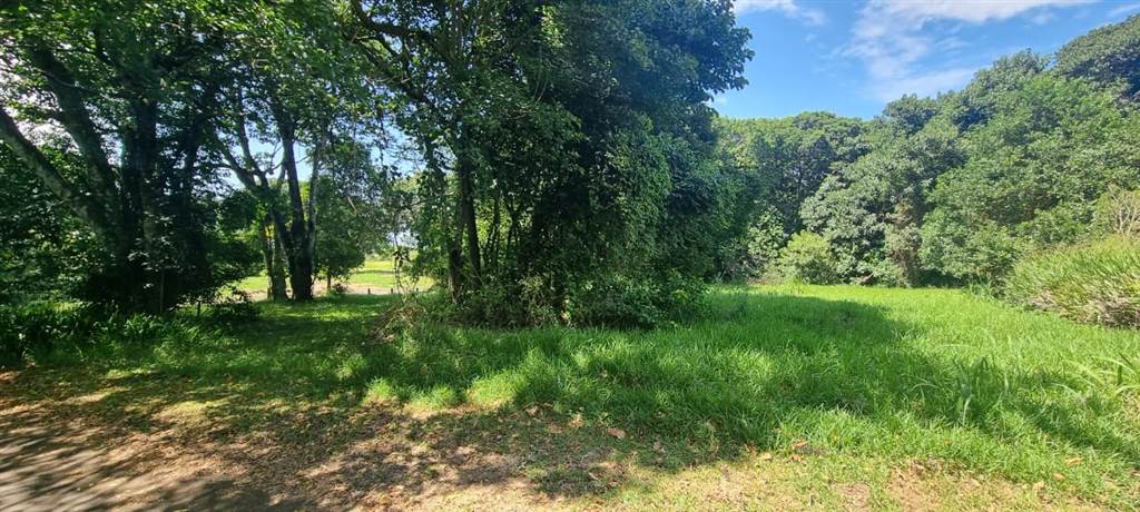 1006 m² Land available in Eshowe photo number 13