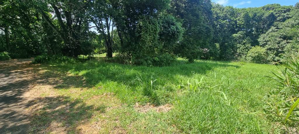 1006 m² Land available in Eshowe photo number 6