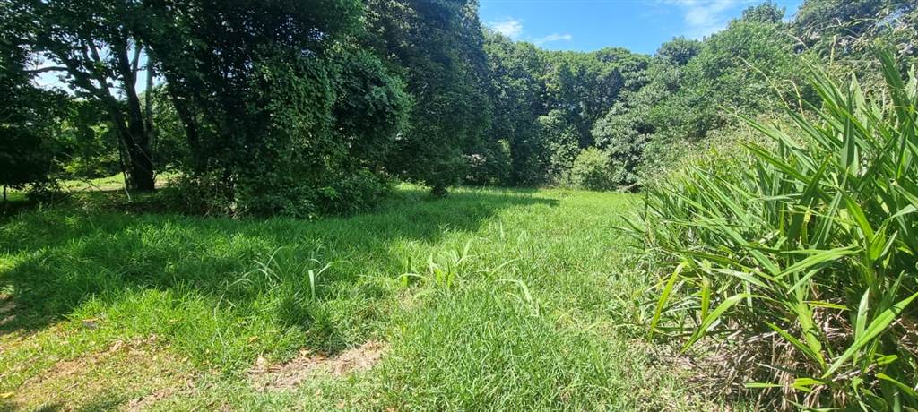 1006 m² Land available in Eshowe photo number 12