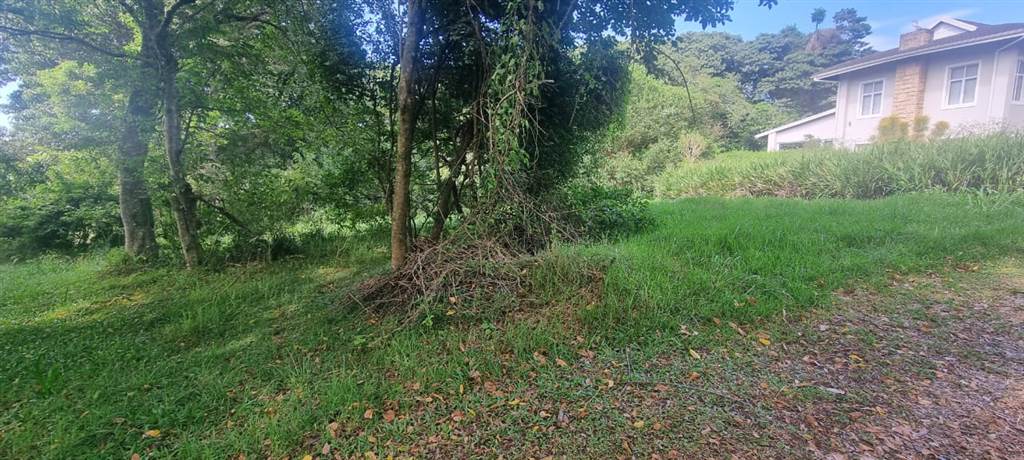 1006 m² Land available in Eshowe photo number 5