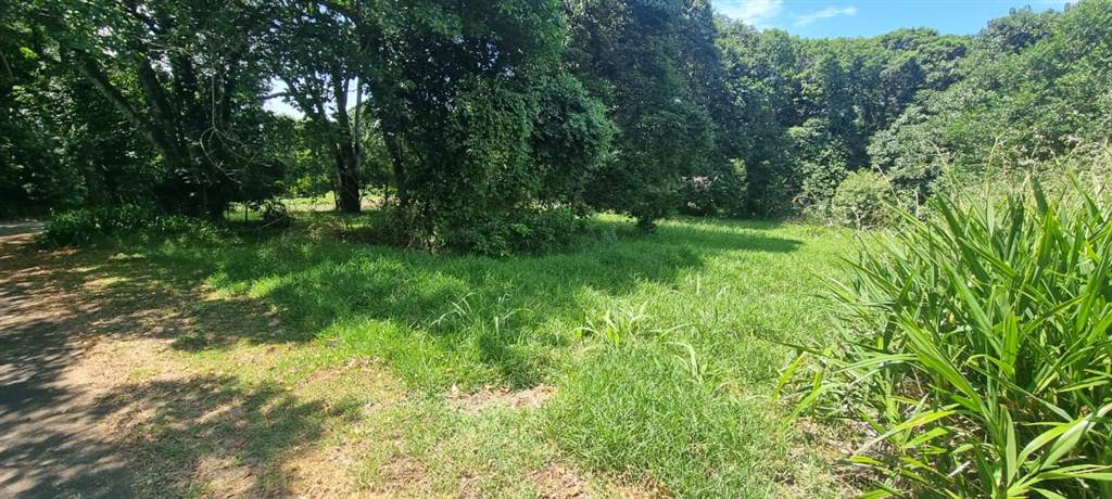 1006 m² Land available in Eshowe photo number 7