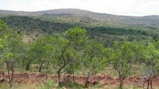 1 ha Land available in Modimole (Nylstroom) photo number 6