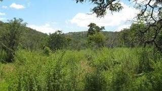 1 ha Land available in Modimole (Nylstroom) photo number 5