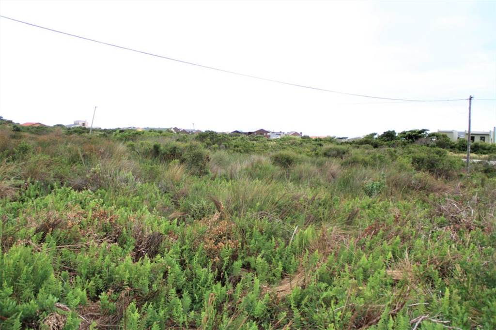 880 m² Land available in Bettys Bay photo number 2
