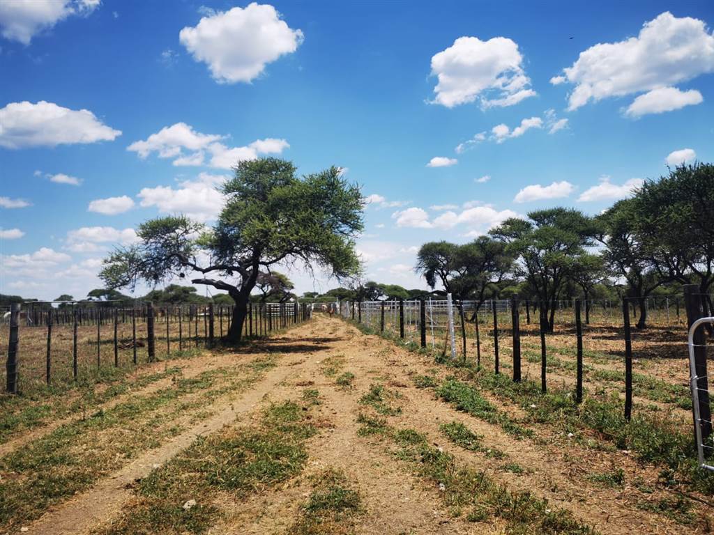 975 ha Farm in Thabazimbi photo number 2