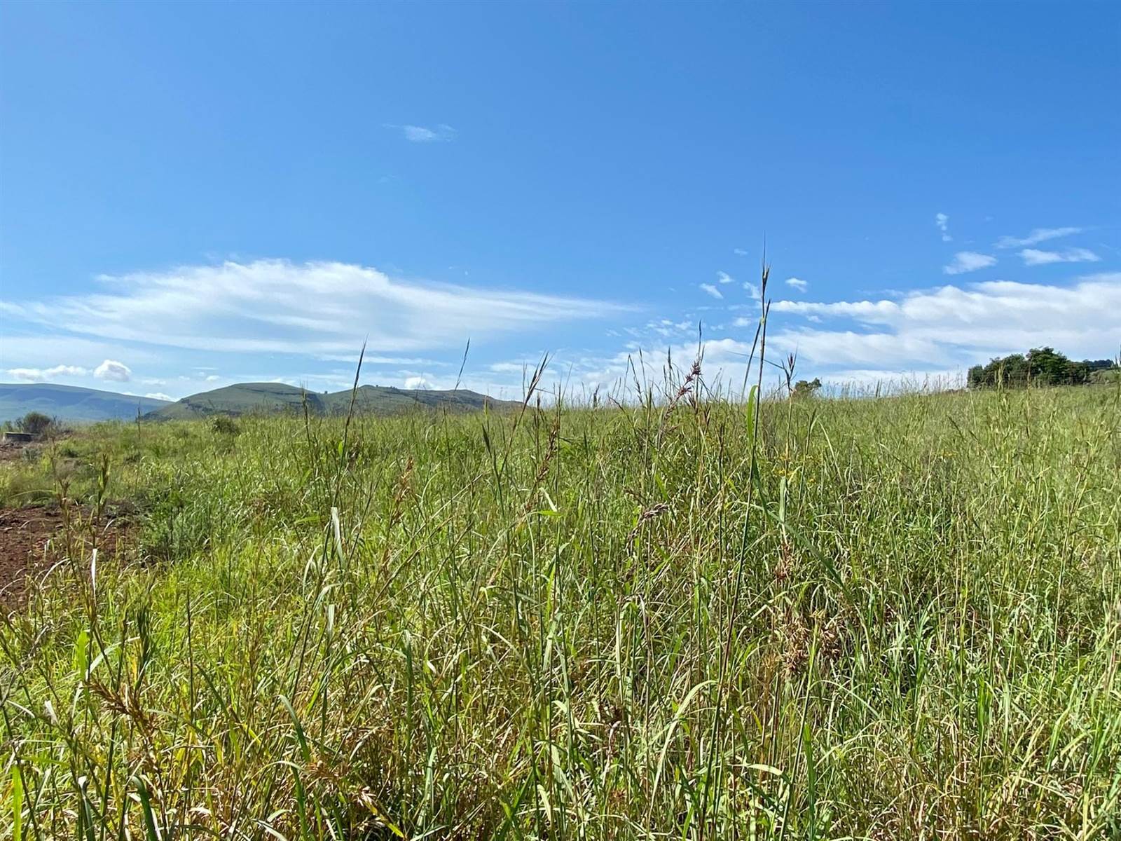 875 m² Land available in Highland Gate Golf and Trout Estate photo number 12