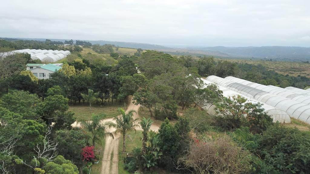 40 ha Farm in Kwelera photo number 5