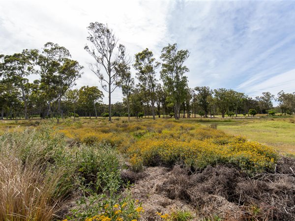 600 m² Land 600 m² Land