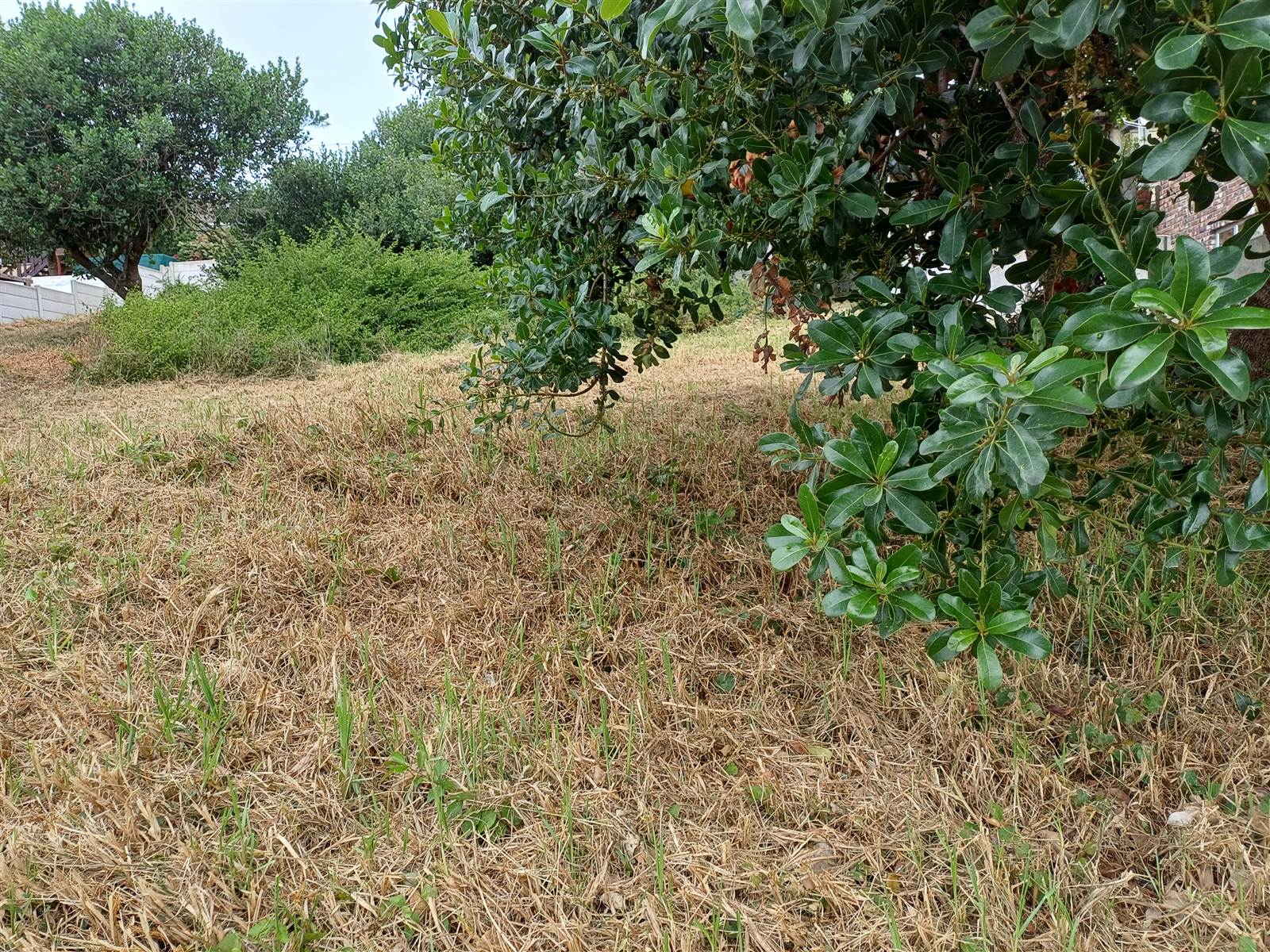 651 m² Land available in Fraaiuitsig photo number 9