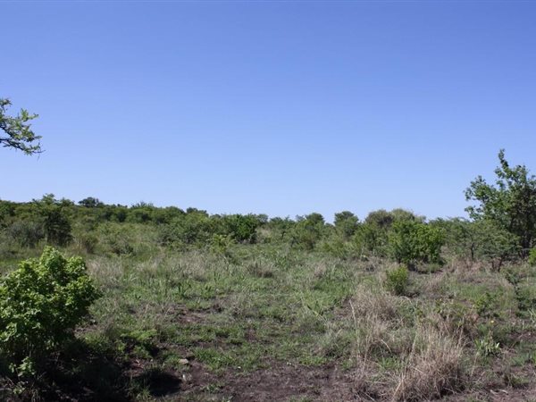 14 ha Land available in Roossenekal