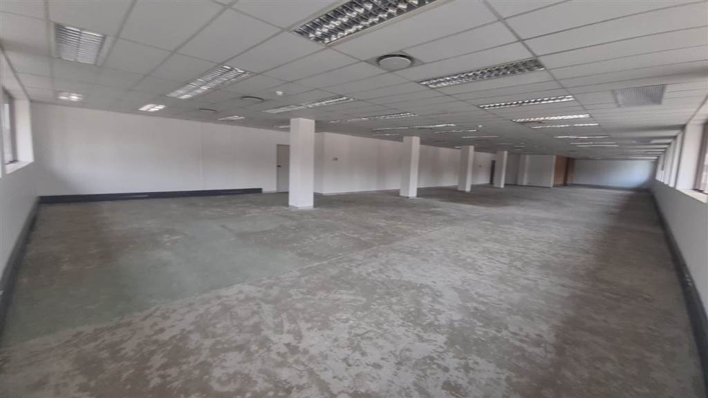 302  m² Commercial space in Arcadia photo number 5