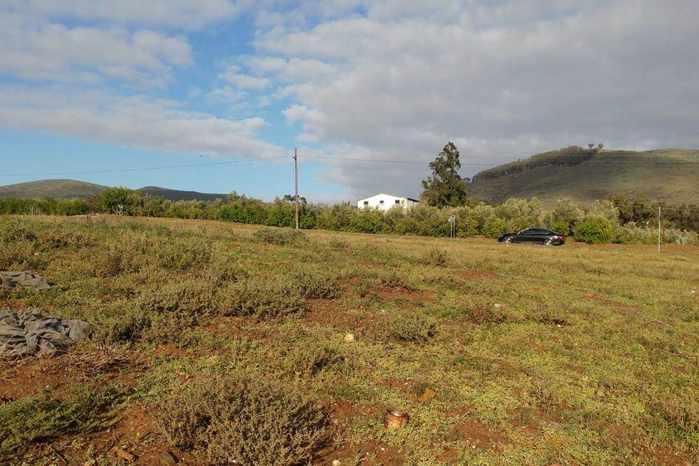 1388 m² Land available in Koringberg photo number 2