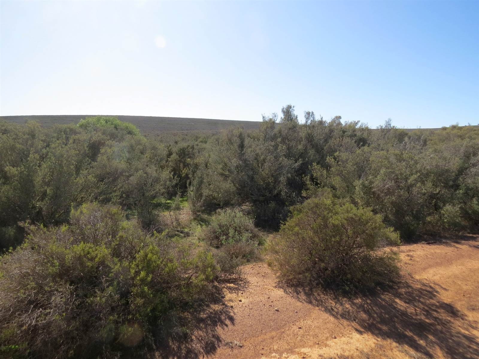 315 ha Land available in Montagu photo number 17