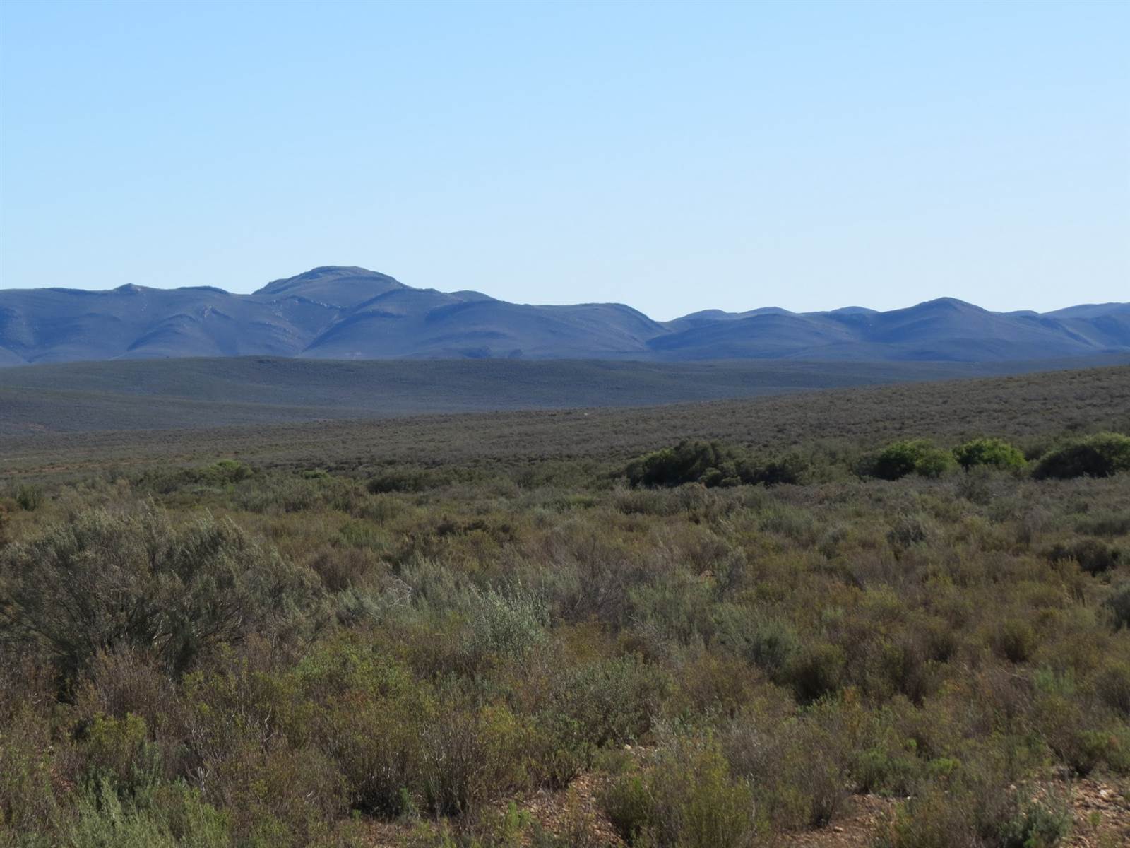 315 ha Land available in Montagu photo number 9