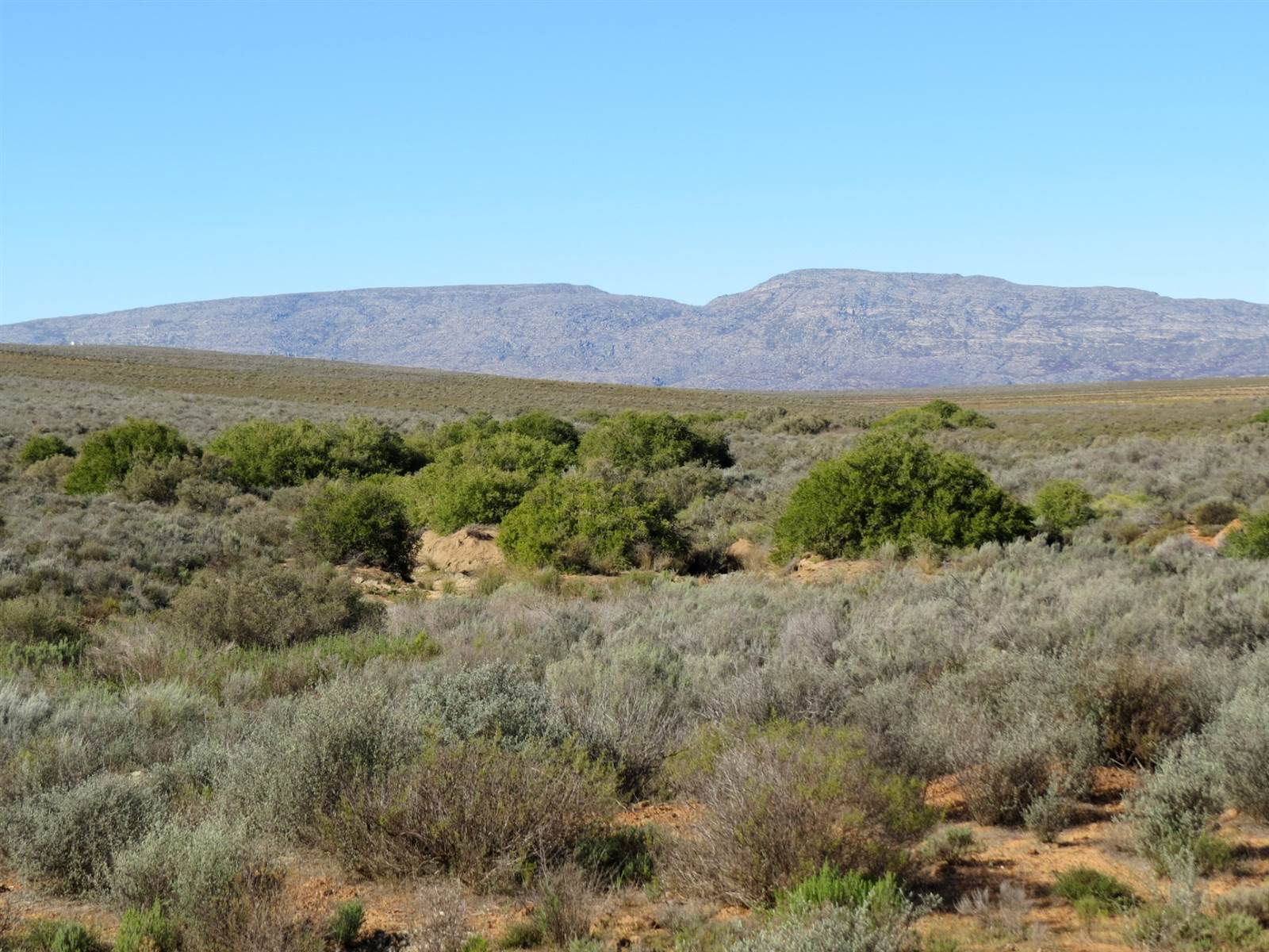 315 ha Land available in Montagu photo number 11
